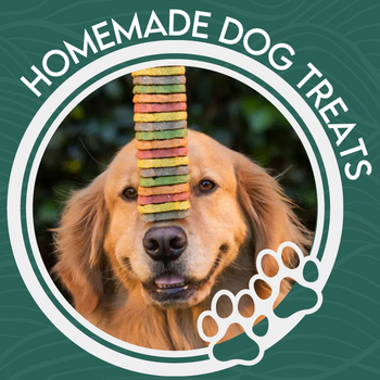 Image for event: Homemade Dog Treats